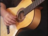 How to Play Flamenco Guitar Made Easy Instructional DVD Spanish Flamenco Guitar Lesson