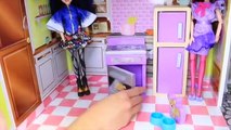 frozen wooden doll house