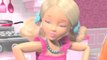 Barbie Life in the Dreamhouse Episode 2 Happy Birthday Chelsea