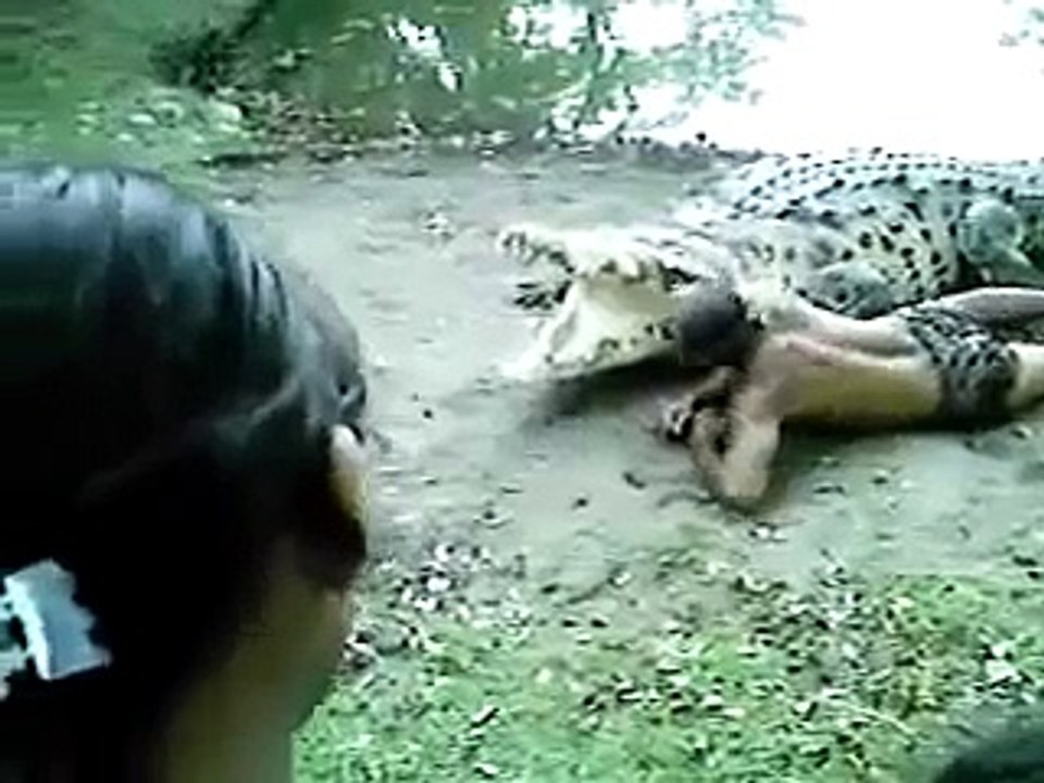 Man tries to get eaten by Crocodile Chito Y Poncho