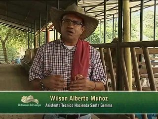 31 de octubre de 2015 Santa Gemma