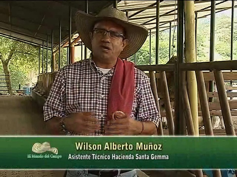 31 de octubre de 2015 Santa Gemma