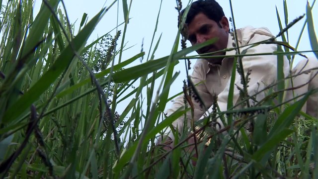 الاحترار المناخي يهدد باكستان