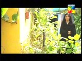 Akeli Episode 71 Full HUM TV Drama 30 Oct 2015