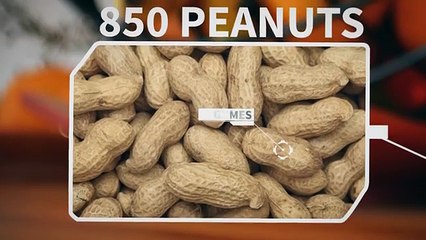 10 Mind Bending Facts