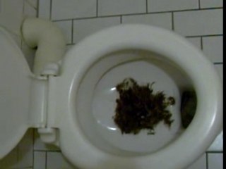 Disaster How to Prevent Disaster