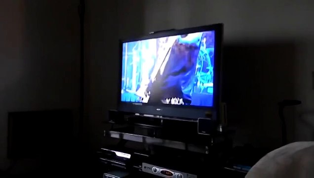 Кот балдеет от рок-концерта