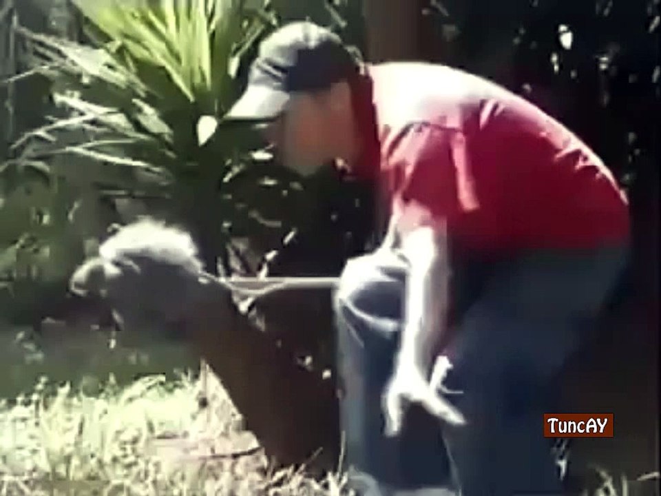 fare şakası süper▬▬ஜ۩Ͳυηζαγ۩ஜ▬▬