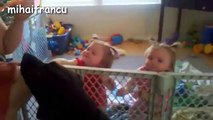 Babies Laughing Hysterically At Dogs Eating Bubbles Compilation - Funny Videos - Babies And Dog