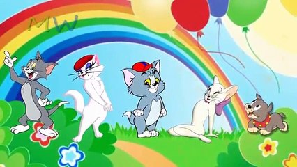 Latest Tom Finger Family Nursery Rhymes For Kids | Finger Family Rhymes