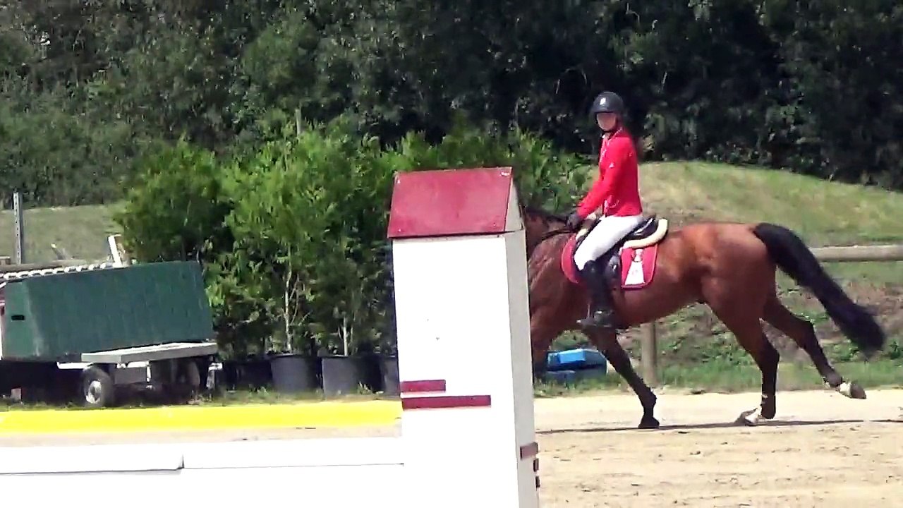 CSO Vierzon - Didéro H des Brumes - 125 - 4p