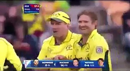 chuss wickets of starc