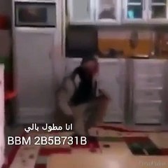 haha compilation of funny videos.. must watch