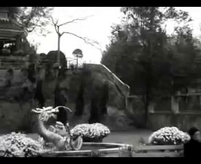 麗的三花之一的黎婉玲在青山公路上的志樂別墅