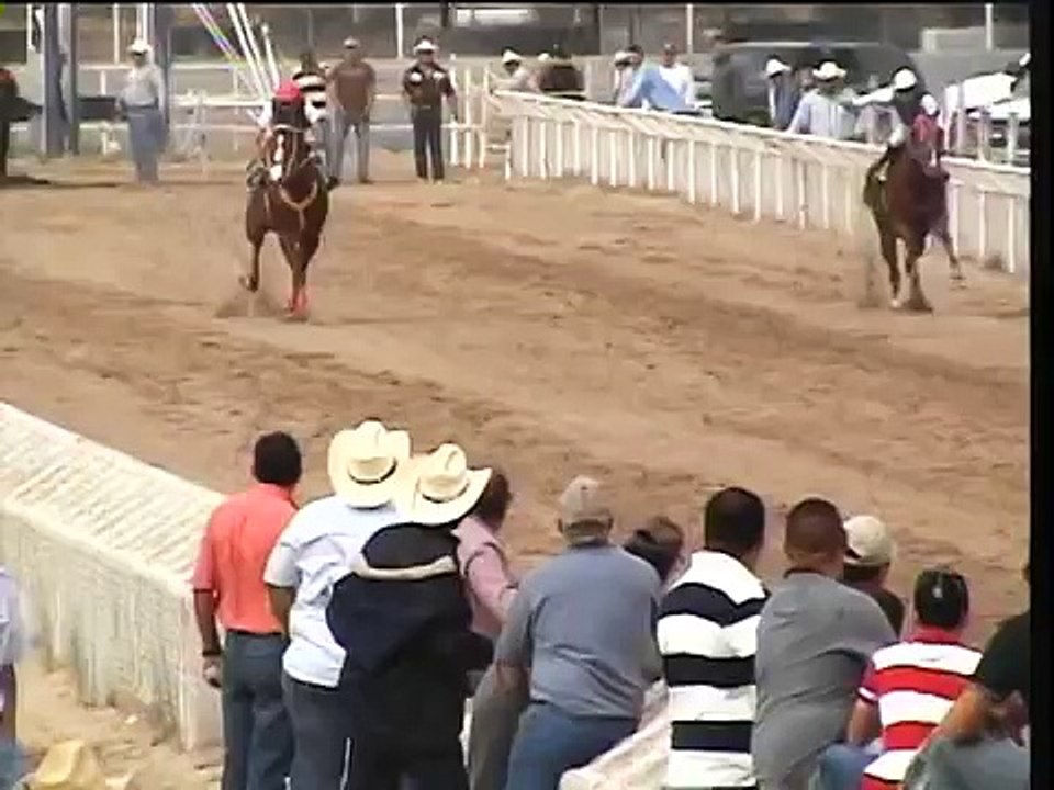 Carreras de caballos en la pista de china nl