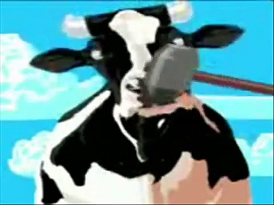 I am  Cow 02.wmv