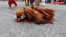 Concarneau. Mais quel est cet étrange lion ?