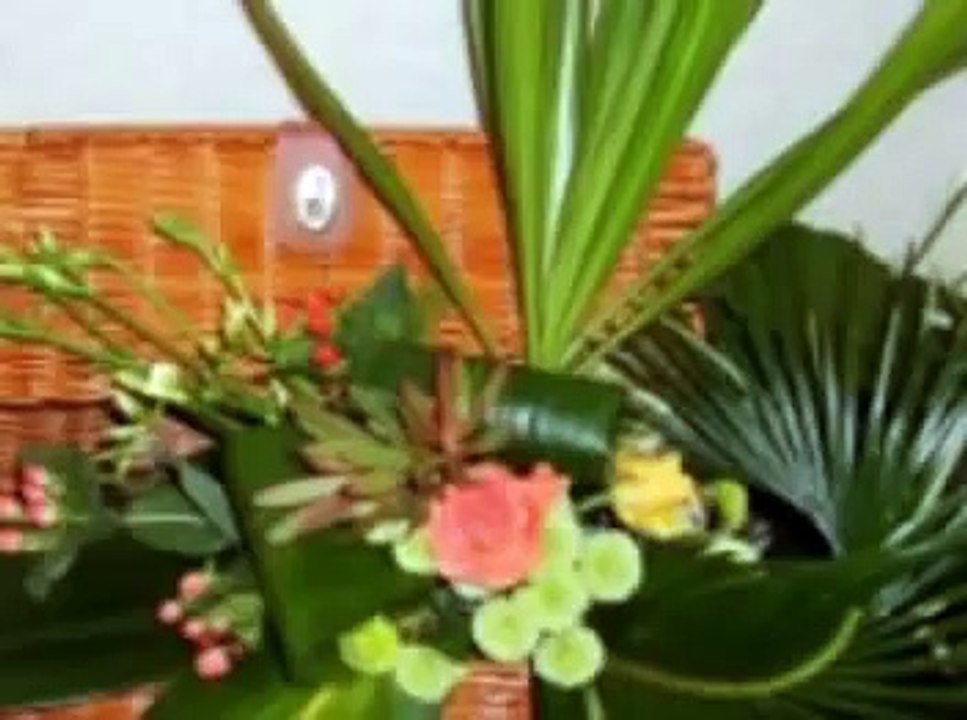 IKEBANA PENTRU RELAXARE (muzica din China)