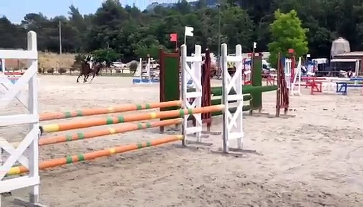 Upside d'Eden poney de sport