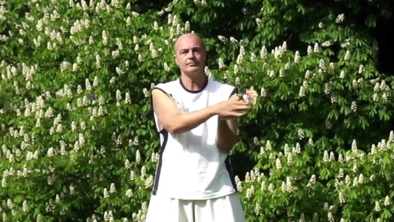 DUFT QI GONG Stufe 1 · XIANG GONG 1 · FRAGRANT QI GONG Level 1