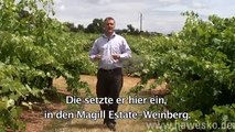 Wein Video #6: Winzer-Story Penfolds by Hawesko