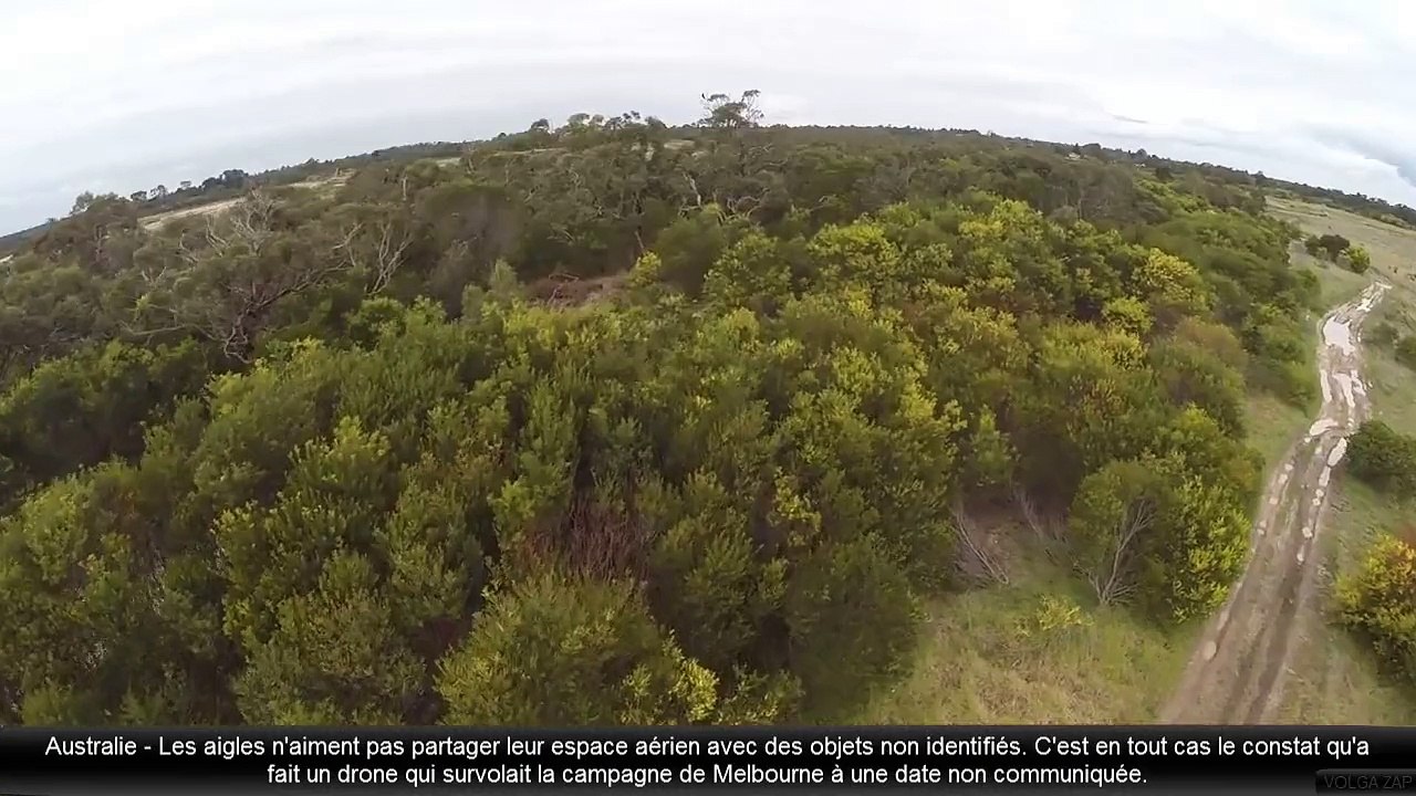 Aigle Vs Drone
