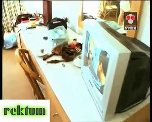 Helin Avşar Olay Görüntüleri Kalça Show