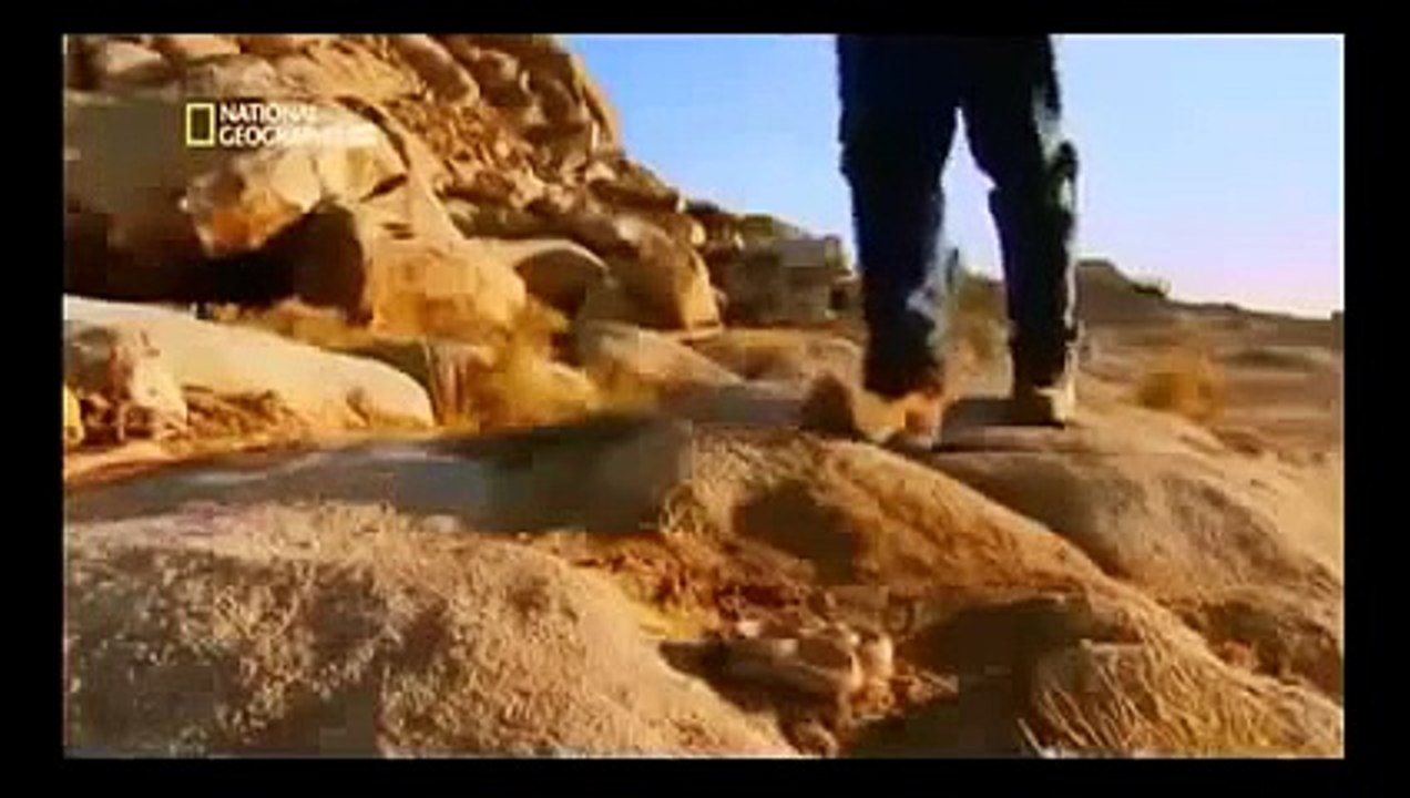 WORLD'S MOST DANGEROUS ANIMALS FROM DESERT TO GRASSLANDS Animal Wildlife Nature documentar