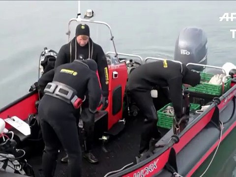 Plongeurs de l'extrême, indispensables maillons de la science en Arctique