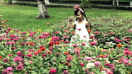Bé bảo An - Mẹ Ơi Tại Sao