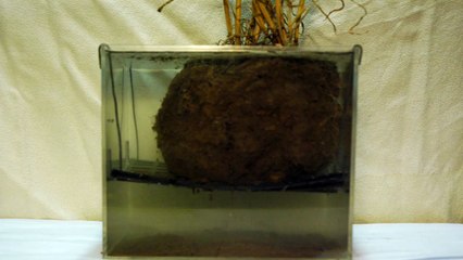 dissolution agrégat 2