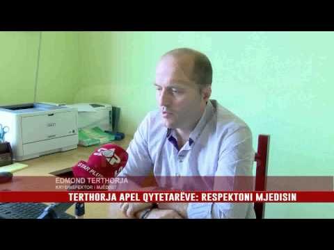 ZJARRET DHE PRERJET E PALIGJSHME RREZIK PER PYJET