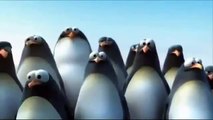 funny animals cartoon - Funny cute penguin and shark - ants and anteater (tapir) - crabs and seagull bird)