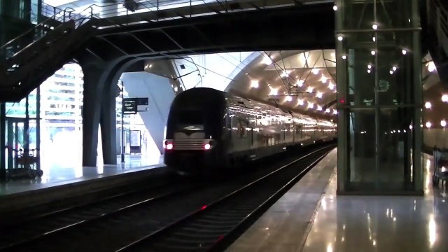 Trains a la gare de Monaco Monte Carlo