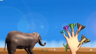 Elephant Finger Family Rhyme For Kids | Elephant Rhymes For Childern