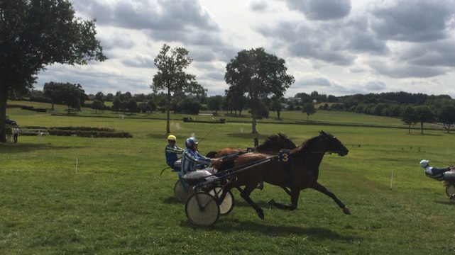 Courses hippiques du Pertre