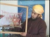 مغربي يحول نسيج العنكبوت والماء إلى لوحات فنية فريدة