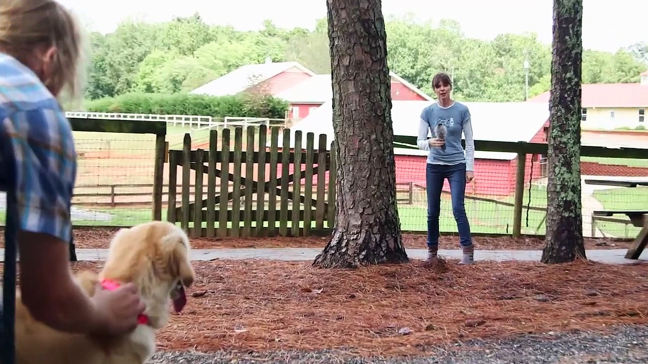 Mental Enrichment With Hide and Seek | Teacher's Pet With Victoria Stilwell
