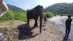 Feeding an Elephant. Chiang Mai, Thailand - GoPro