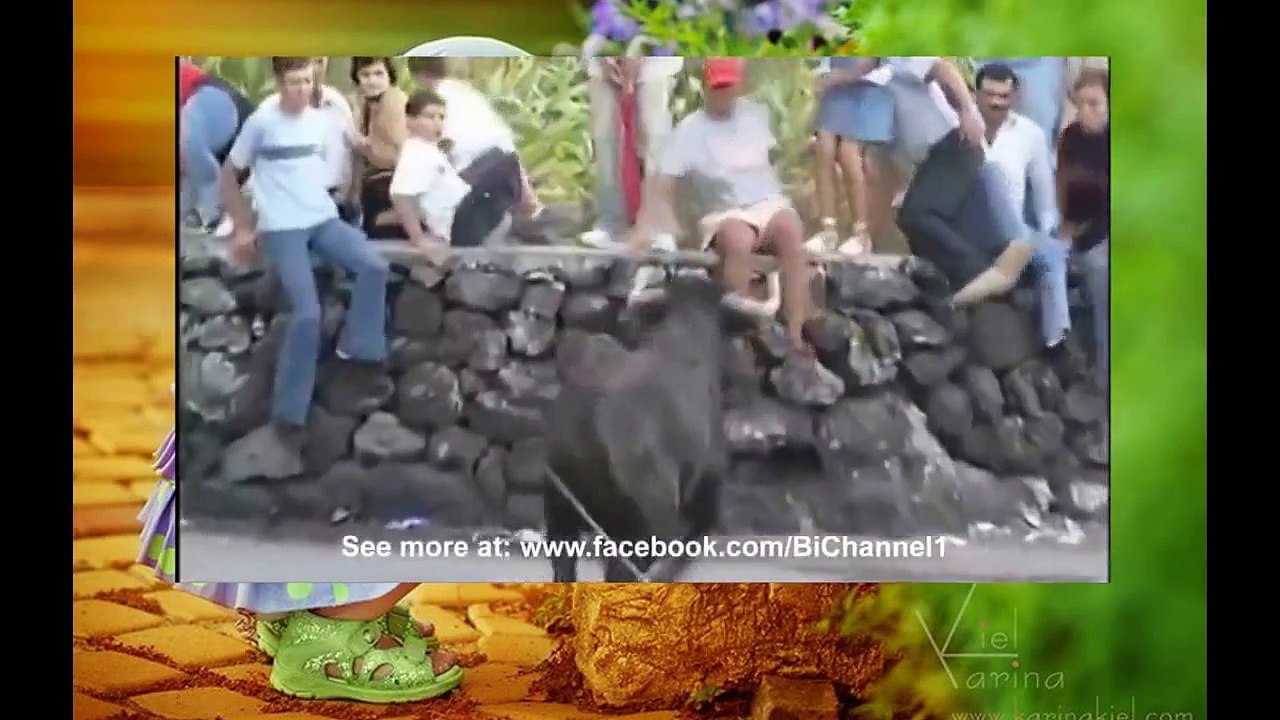 những pha ngịch ngu nhất thế giới 2015
