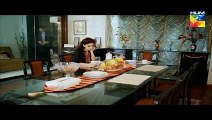 Kaise Tumse Kahoon Episode 4 on Hum TV Drama 16 August 2015