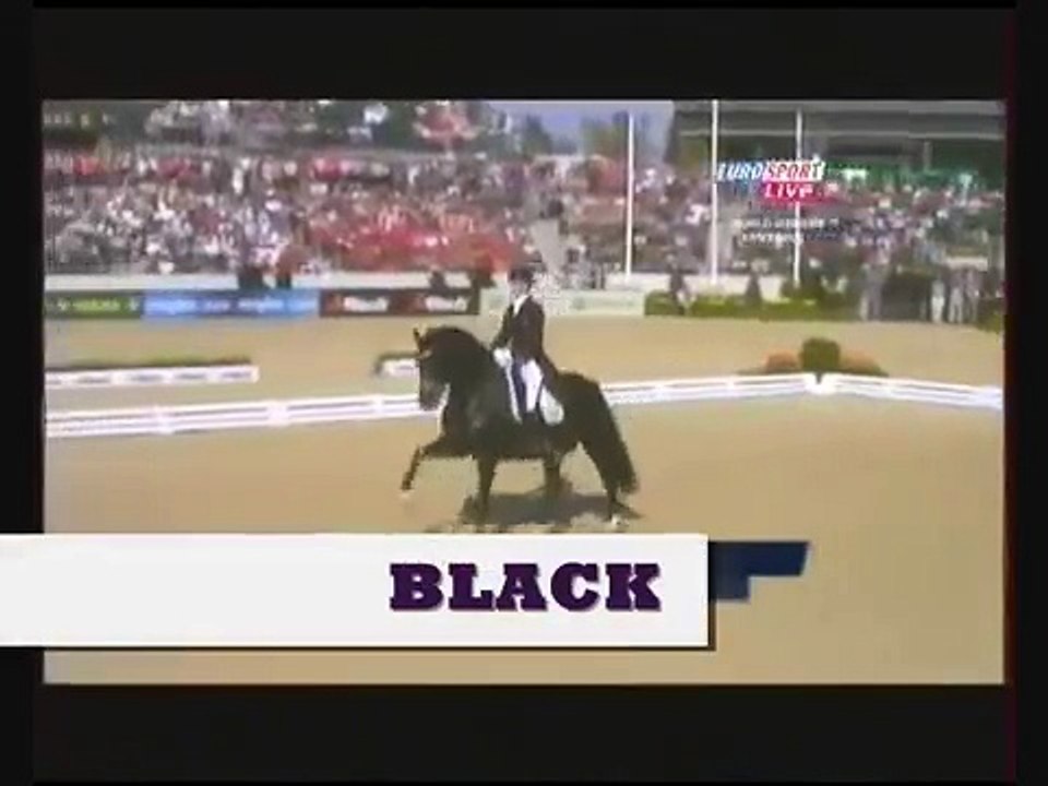 TOTILAS AND FUEGO ( BLACK AND WHITE) WEG KENTUCKY 2010 (ii)