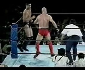 Best Of Bas Rutten