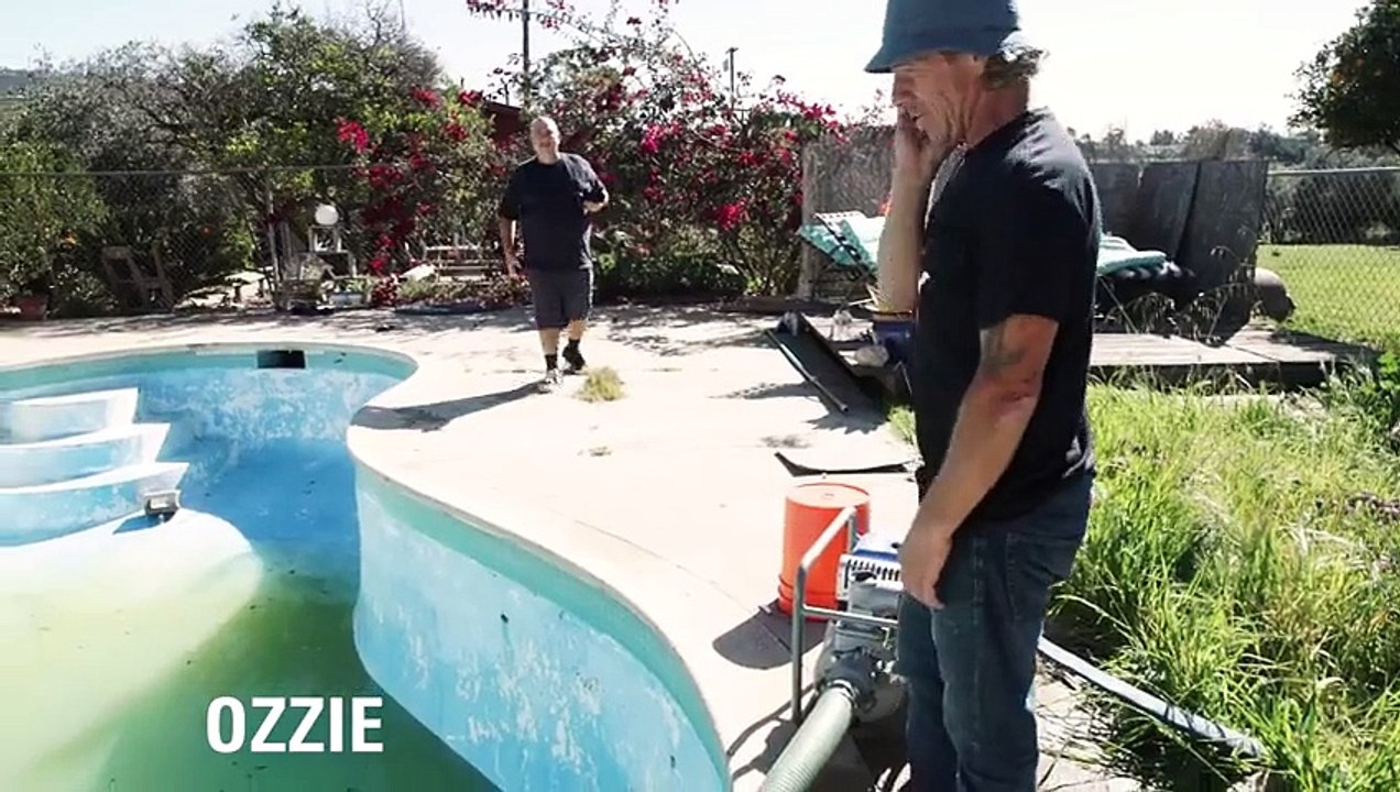 Tony Hawk and Lance Mountain Backyard Pool Session
