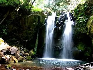 The Gift Of A Friend