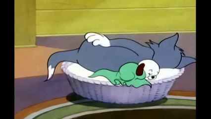 Tom and Jerry 080 Puppy Tale Cartoon 1953 HD