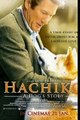 Hachiko Bir Köpeğin Hikayesi Full HD izle