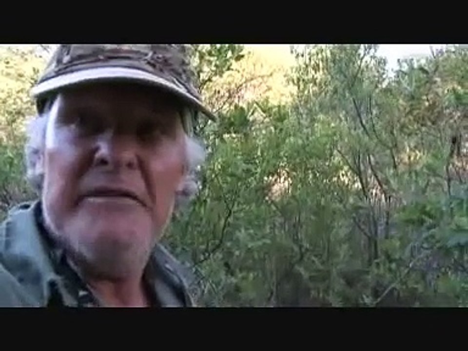 JV (John Varty) films tiger cubs in Julie's Den