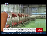 تفاصيل قدرات الصواريخ البالستية الايرانية، ومدى دقتها؟
