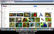 Know More Now - Searching Smarter in Google - captioned